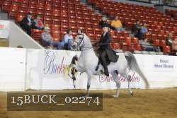 15BUCK_02274 proof