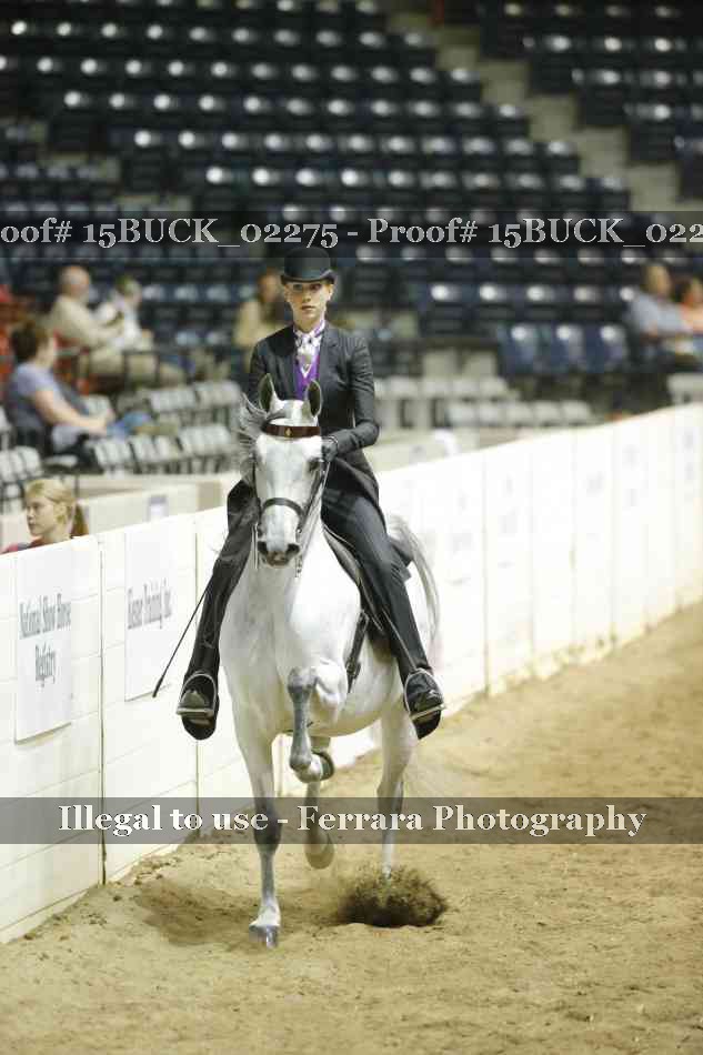 Proof 15BUCK_02275