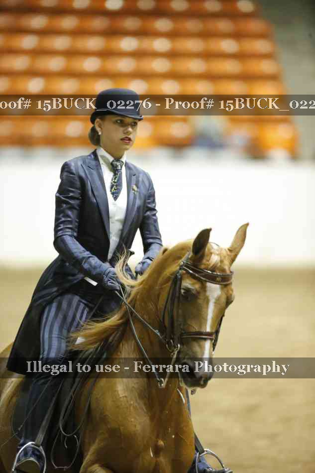 Proof 15BUCK_02276