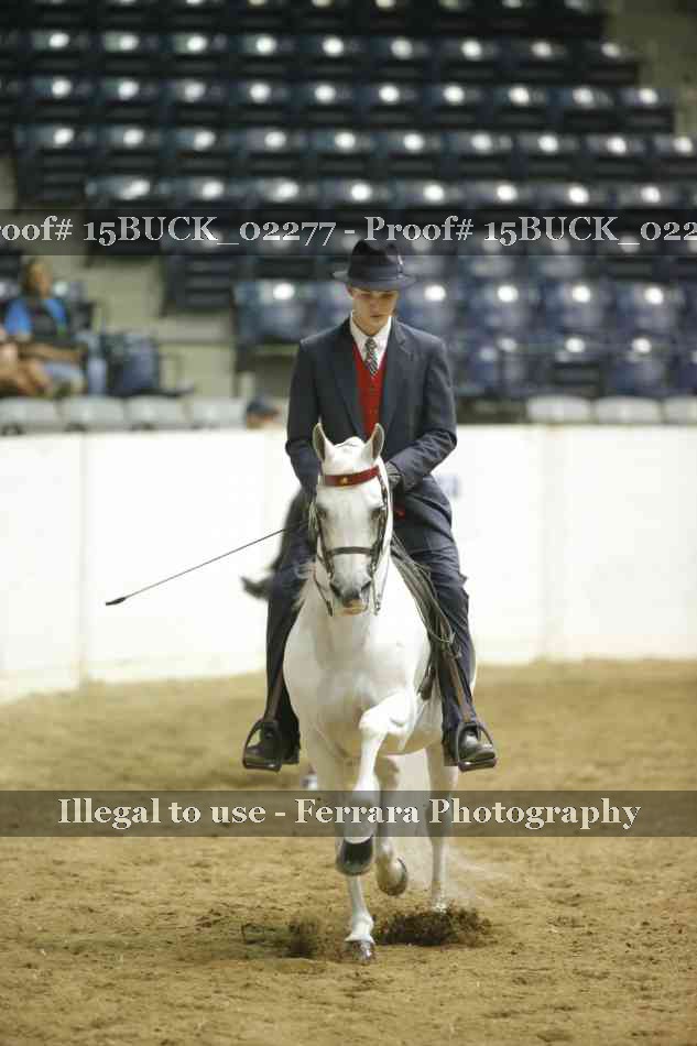 Proof 15BUCK_02277