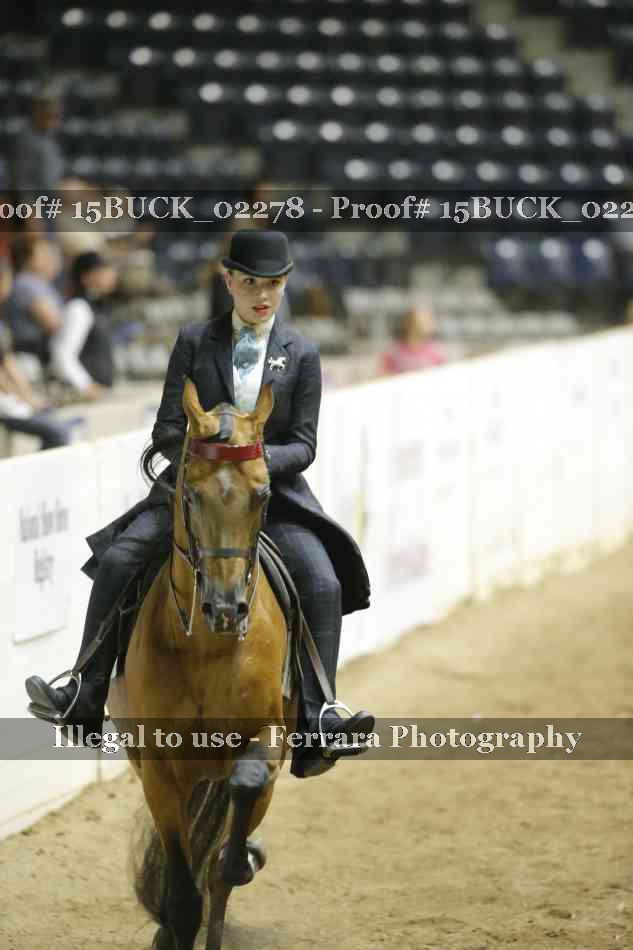 Proof 15BUCK_02278