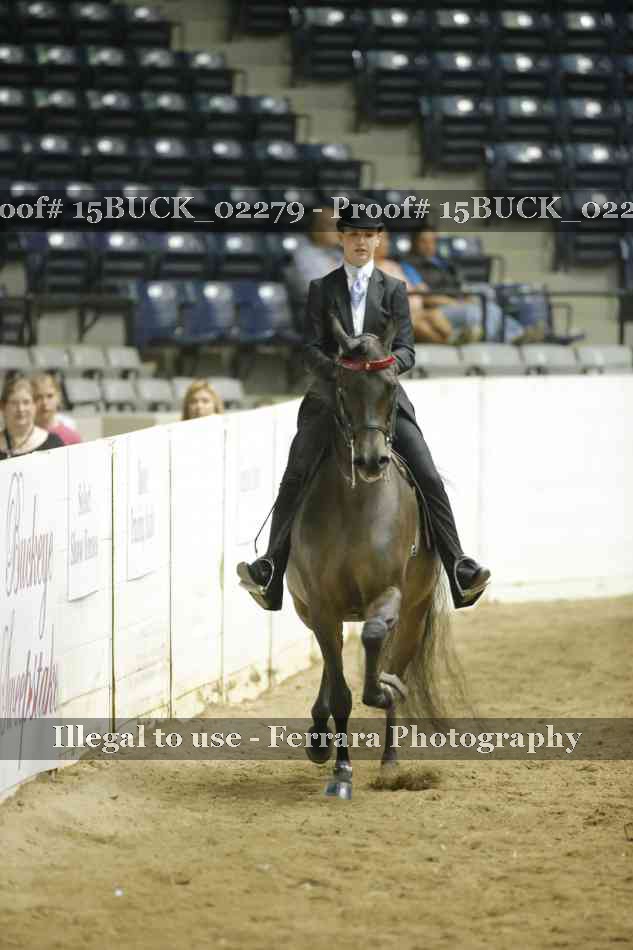 Proof 15BUCK_02279