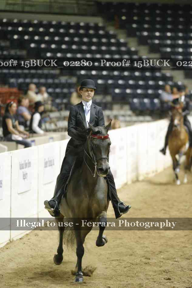 Proof 15BUCK_02280