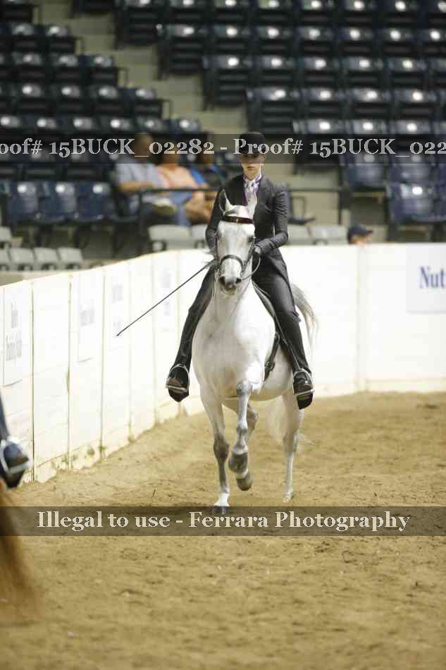 Proof 15BUCK_02282