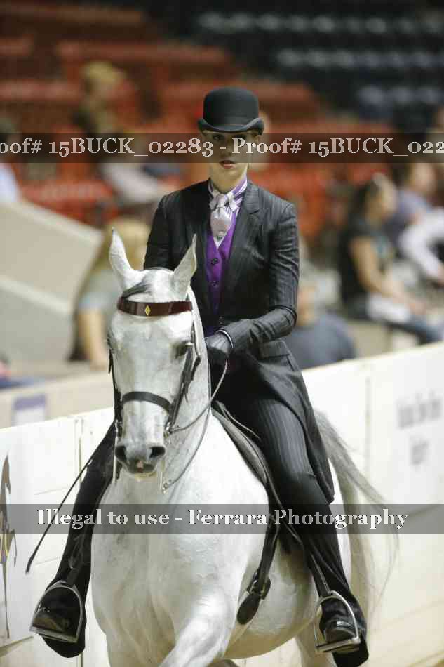 Proof 15BUCK_02283