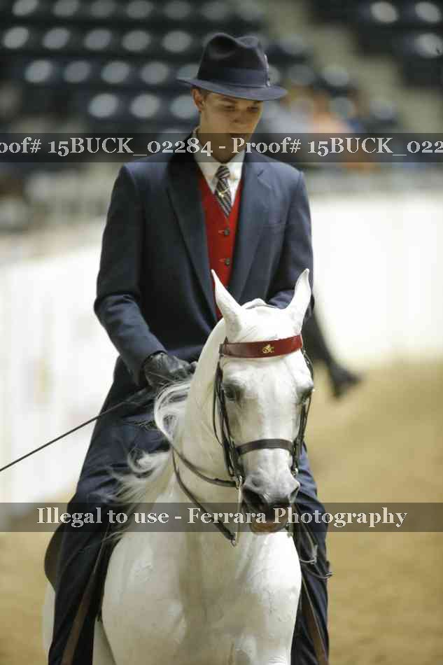 Proof 15BUCK_02284