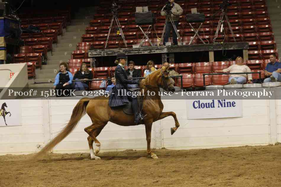 Proof 15BUCK_02285