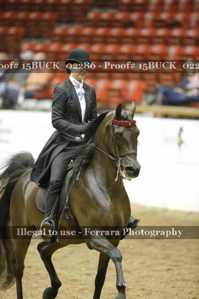 Proof 15BUCK_02286