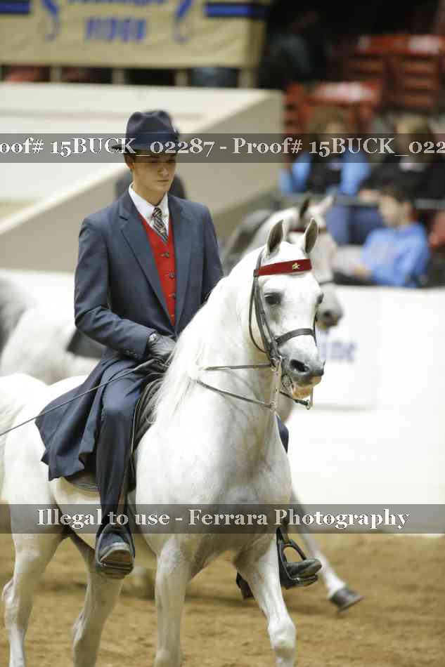 Proof 15BUCK_02287