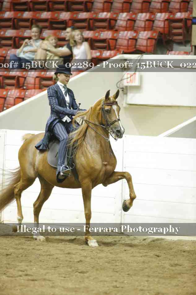 Proof 15BUCK_02289
