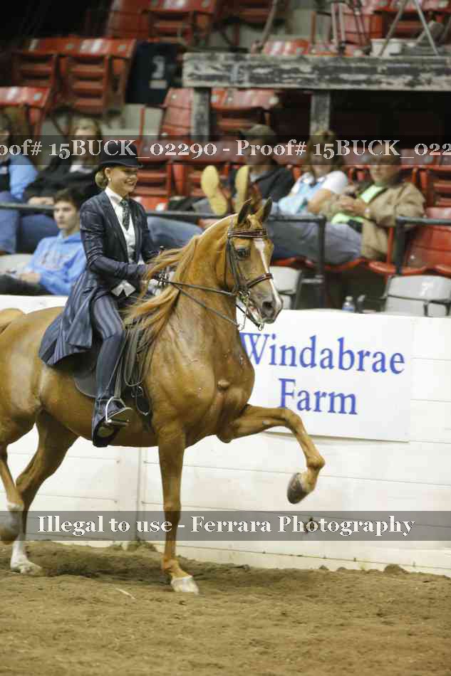 Proof 15BUCK_02290