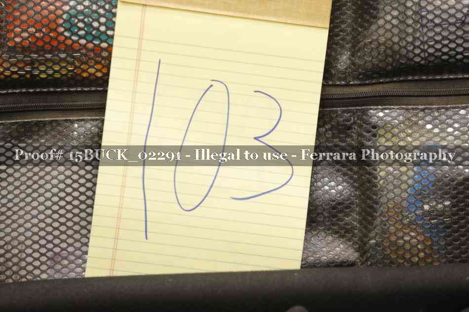 Proof 15BUCK_02291