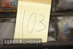 15BUCK_02291 proof