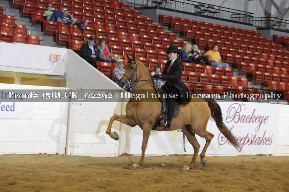 Proof 15BUCK_02292