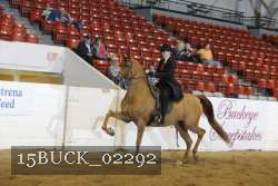 15BUCK_02292 proof