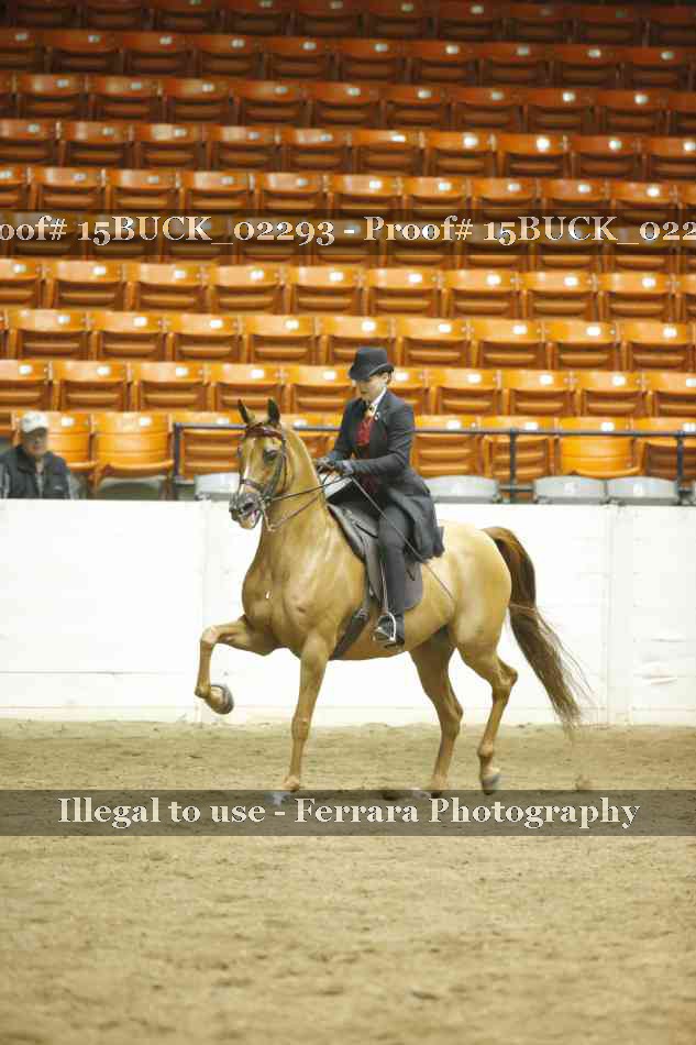 Proof 15BUCK_02293