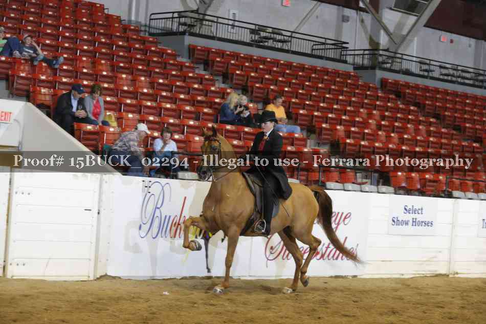 Proof 15BUCK_02294