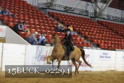 15BUCK_02294 proof