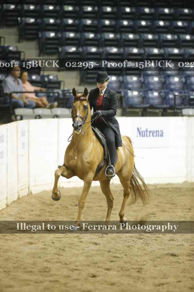 Proof 15BUCK_02295