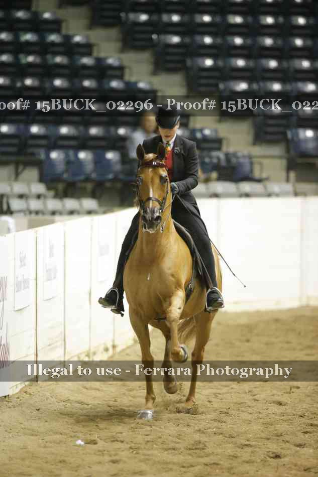 Proof 15BUCK_02296