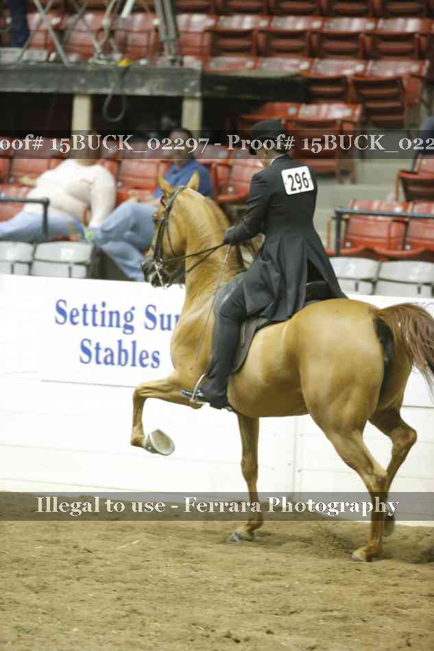 Proof 15BUCK_02297