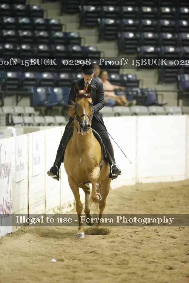Proof 15BUCK_02298