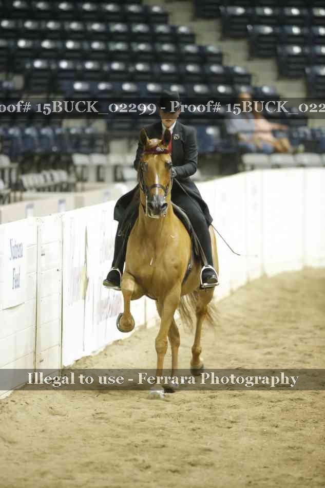 Proof 15BUCK_02299