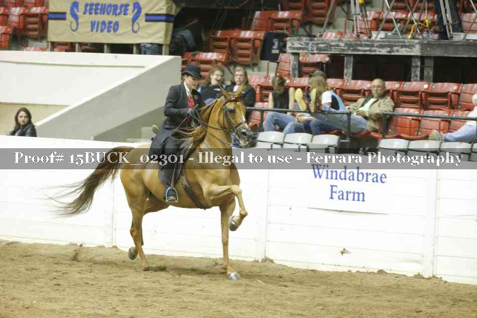 Proof 15BUCK_02301