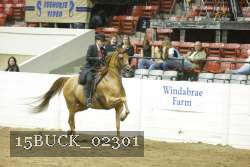 15BUCK_02301 proof