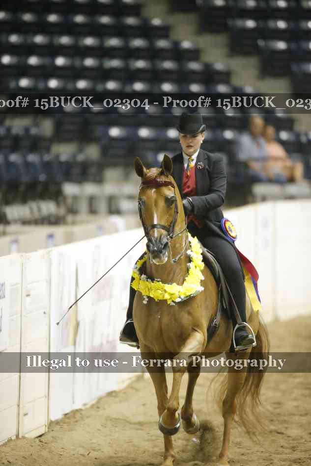 Proof 15BUCK_02304