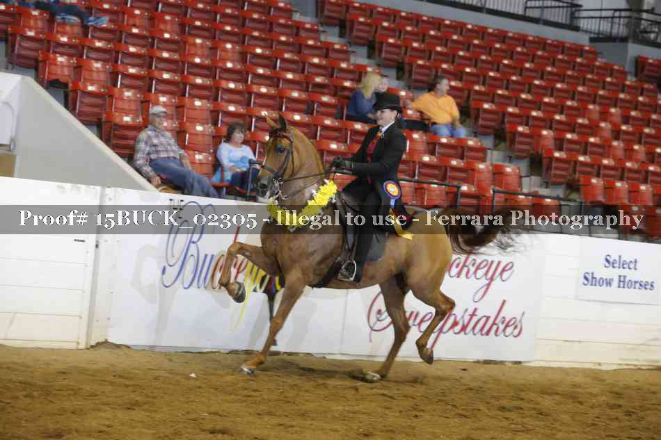 Proof 15BUCK_02305