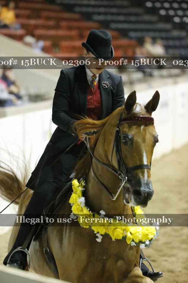 Proof 15BUCK_02306