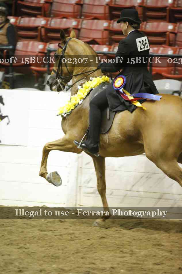 Proof 15BUCK_02307