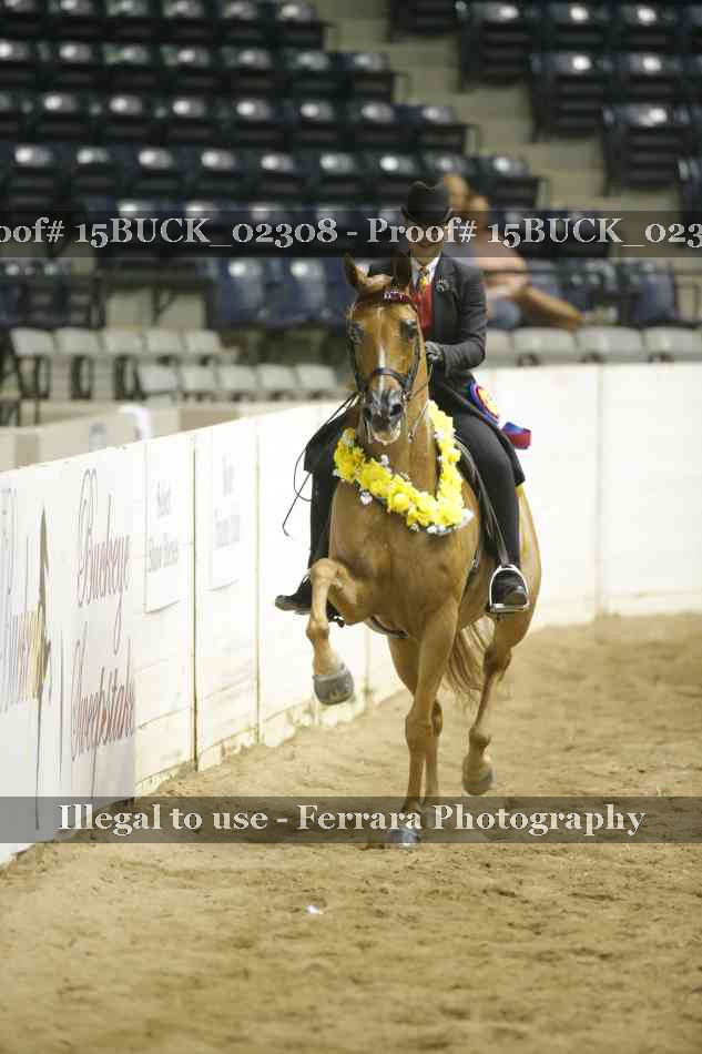 Proof 15BUCK_02308