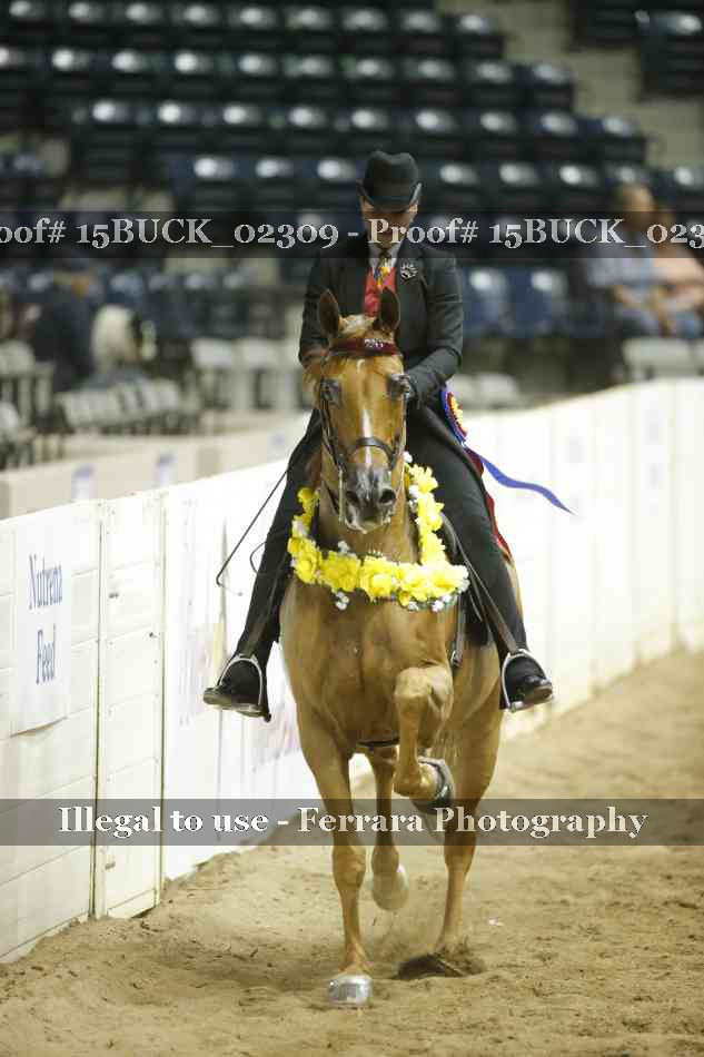 Proof 15BUCK_02309