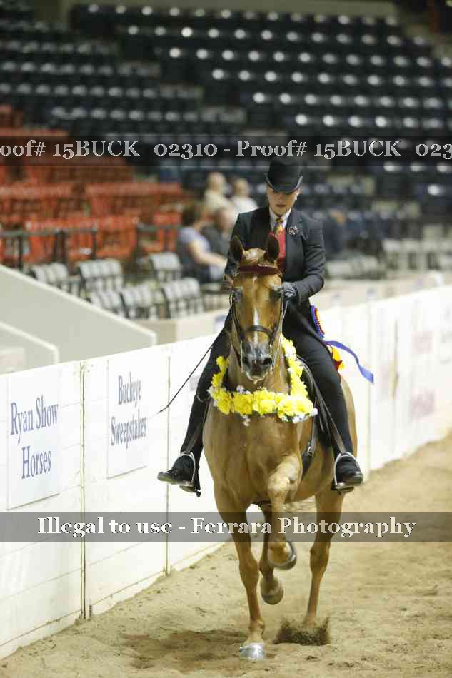 Proof 15BUCK_02310
