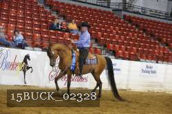15BUCK_02328 proof