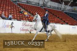15BUCK_02337 proof