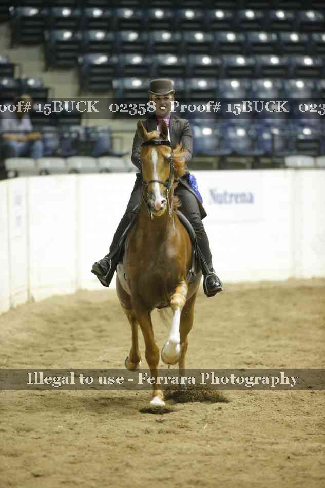 Proof 15BUCK_02358