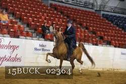 15BUCK_02364 proof
