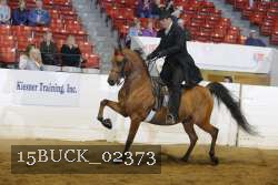 15BUCK_02373 proof