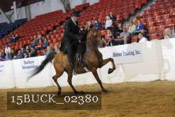 15BUCK_02380 proof