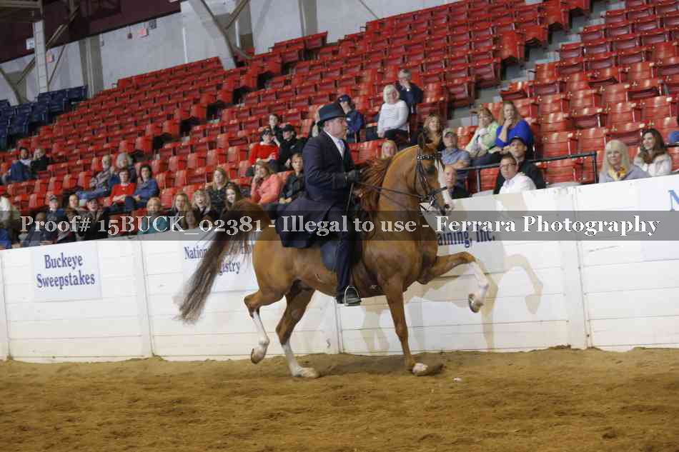 Proof 15BUCK_02381
