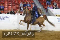 15BUCK_02383 proof