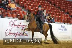 15BUCK_02389 proof