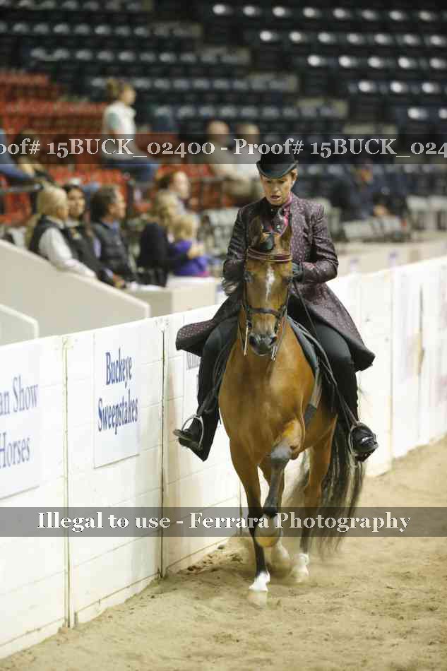 Proof 15BUCK_02400