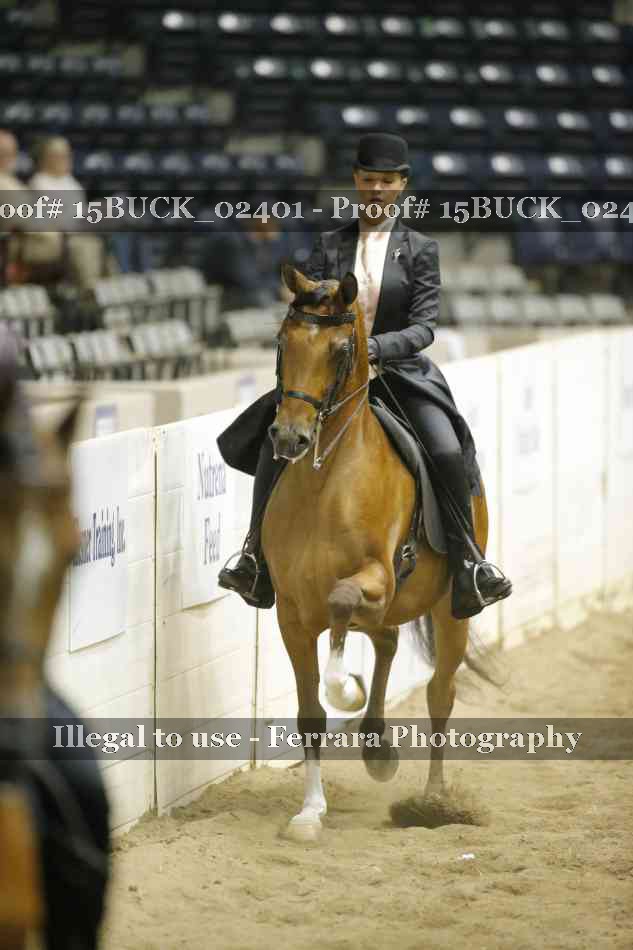 Proof 15BUCK_02401
