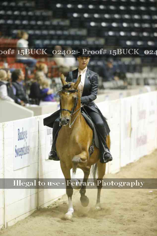 Proof 15BUCK_02402
