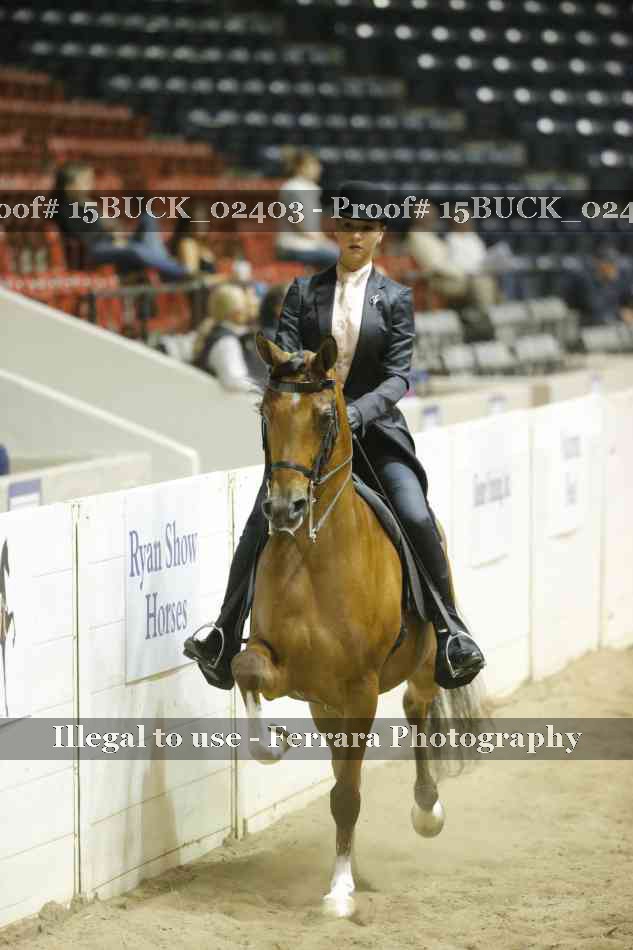 Proof 15BUCK_02403