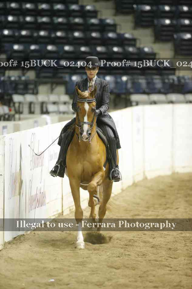 Proof 15BUCK_02404
